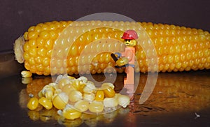 Minifigures cuts corn grains 18