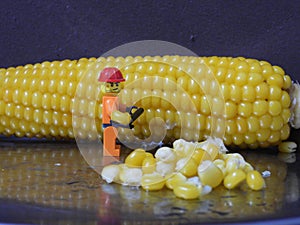 Minifigures cuts corn grains 19