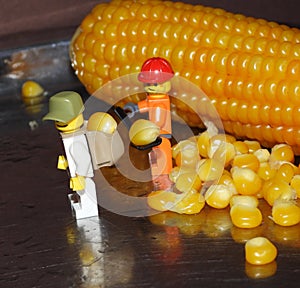 Minifigures cuts corn grains 22