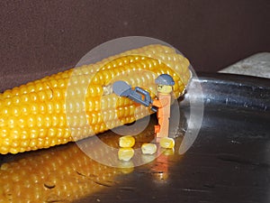 Minifigures cuts corn grains 3
