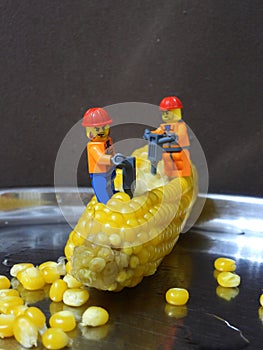 Minifigures cuts corn grains 9