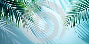 Blurred shadow from palm leaves photo