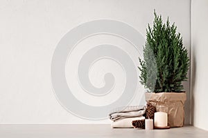 Minimal aesthetic cozy winter home decoration in Scandinavian style. Juniper in pot, wool sweaters, candles on beige