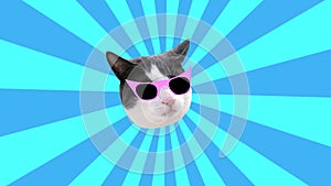 Minimal animation Motion design Fun Art. Kitty glamour style pop and party mood on multicoloured blue sunbeam background.