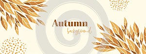 Minimal autumn long banner template. Vector floral background with autumn leaves and copy space for text. Facebook cover