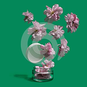 Minimal beauty concept. Lovely cosmetic jar pops up of many pink cherry flowers flying away. Green background