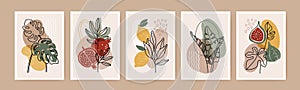 Minimal boho poster. Modern botanical wall art decor with nature elements, tropical leaves, fruits, abstract organic