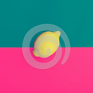 Minimal design fruit. Lemon on bright background