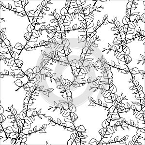 Minimal eucalyptus leaves twig seamless pattern, vector hand drawn illustration