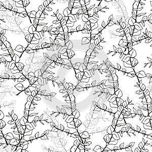 Minimal eucalyptus leaves twig seamless pattern, vector hand drawn illustration