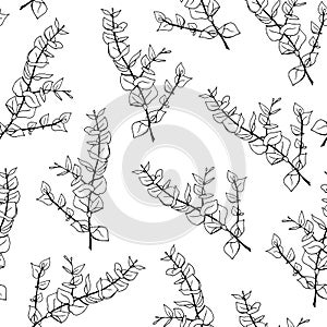 Minimal eucalyptus leaves twig seamless pattern, vector hand drawn illustration