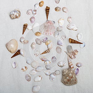 Minimal fashion composition with golden earrings in seashell on table. Flat lay, top view a jewelry concept on mosaic