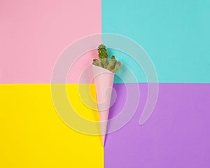 Minimal fashion Stillife. Trendy Bright Colors. Green cactus of ice cream on colorful background.