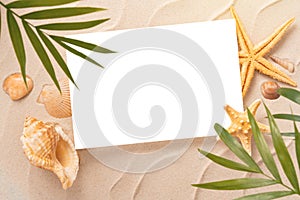 Minimal Frame summer background, Sand shells Seastar with blurred Palm, vacation and travel concept,
