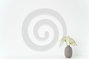 Minimal indoor interior. Gray vase with wild host bouquet on table on white background. Cute soft home decor. Mockup