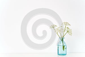 Minimal indoor interior. Transparent blue vase with Aegopodium bouquet on table on white background. Cute soft home