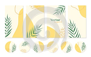 Minimal instagram stories templates and highlights icons in yellow colors with palm leaves. Abstract organic shapes