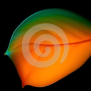 Minimal Leaf Light Pattern for AMOLED