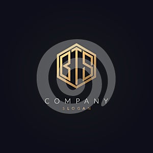 Minimal Letter BTS Logo Concept Icon Template Gold Color Vector.