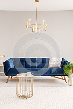 Minimal living room interior with a dark blue sofa and gold metal chandelier and a coffee table. Empty copy space wall. Real photo