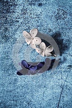 Minimal with plastic flowers hairclips