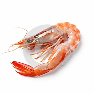Minimal Retouched Shrimp On White Background - 32k Uhd photo