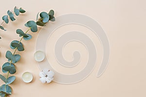 Minimal spa treatment composition. White aroma candles, cotton boll and eucalyptus leaves on light background. Flat lay, copy