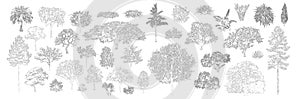 Tree line drawing set minimal style, forest and park