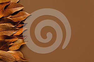 Minimal style composition made of dried leaves. Autunm and fall concept. Creative layout