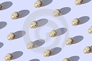 Minimal style pattern made of quail eggs on pastel background with shadow. Easter creative concept