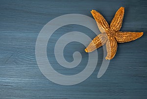 Minimal summer concept. Yellow starfish on a blue background. View from above