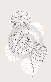 Minimal tropical art. Tropical monstera leaves silhouette and line art on pastel beige background photo