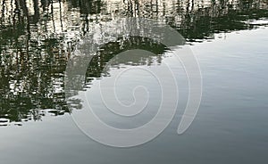 Minimal Water Surface with Soft Tree Reflections