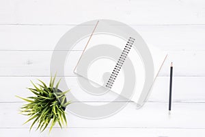 Minimal work space - Creative flat lay photo of workspace desk. Office desk background with notebooks and pens and plant.