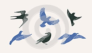 Minimalism style set of different flying birds. Simple icon collection of naive style birds, logo elements design