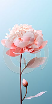 Minimalist 3d Peony Flowers Mobile Wallpaper For Distinctive And Hisense H9g