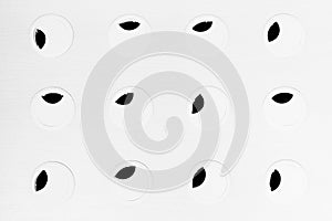 Minimalist abstract black-and-white background with circles and black leaves.