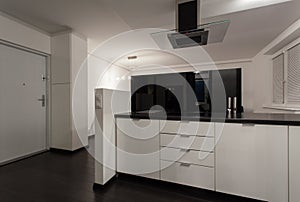 Minimalist apartment - open kitchen