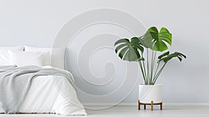 A minimalist bedroom with a striking monstera deliciosa plant in a sleek white planter