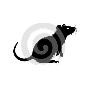 Minimalist Black Rat Silhouette Vector Illustration For Tattoo Design