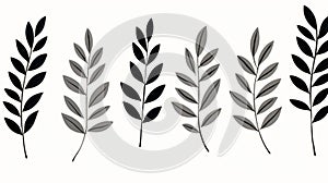 Minimalist Black And White Leaves: A Modern Twist On Biblical Iconography