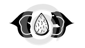 Almond Seed with Open Shell Icon