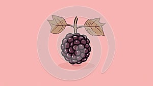 Minimalist Blackberry Illustration On Pink Background