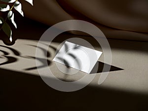 Minimalist blank business card on beige surface with leaf shadows and soft light