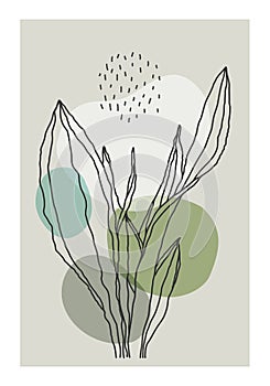 Minimalist botanical line art composition with leaves abstract collage