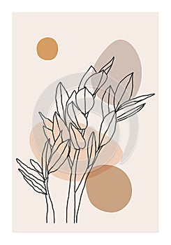 Minimalist botanical line art composition with leaves abstract collage