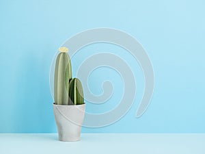 Minimalist cactus background for summer mood design.