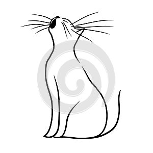Minimalist cat illustration