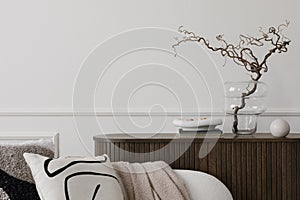 Minimalist composition of living room interior with wooden sideboard, glass vase with branch, bowl, ball sculpture, white sofa,