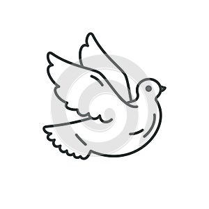 Minimalist flying white pigeon line contoured vector illustration love freedom spiritual peace